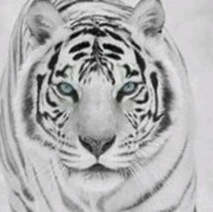 Meet your Posher, Noah